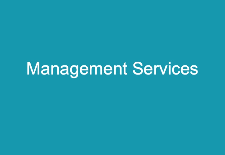 Management%20Green.jpeg